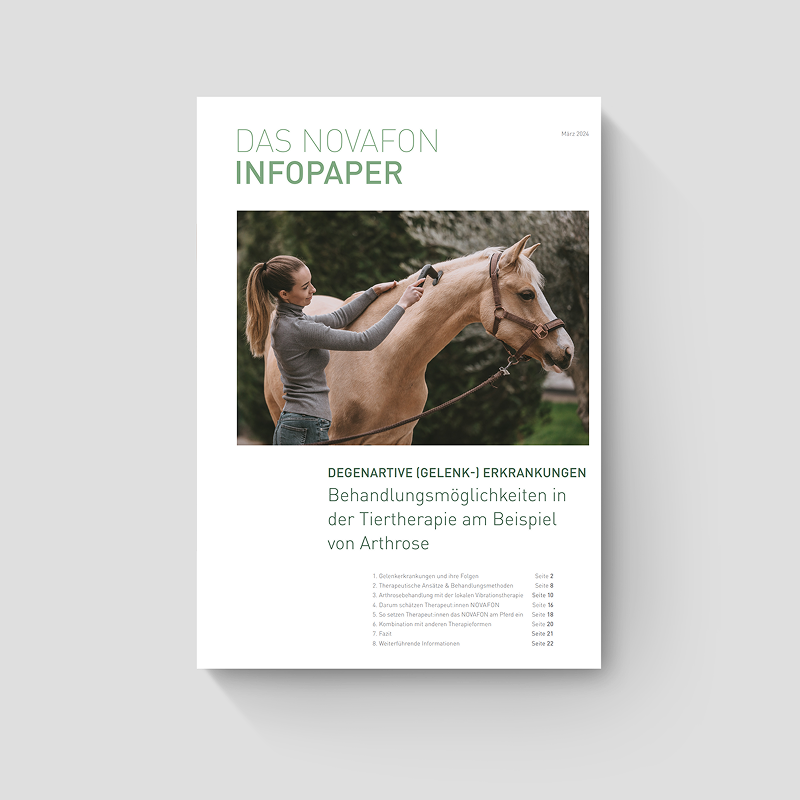 Infopaper-VET_Minimal_Mockup_Gelenkerkrankung